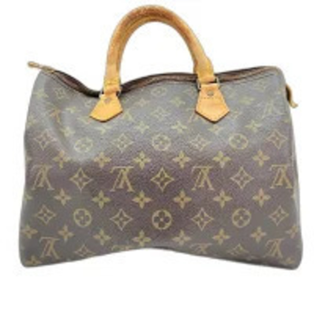 Louis Vuitton Speedy Handbag Brown